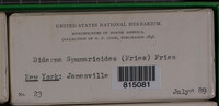 Image Associated With the Occurence